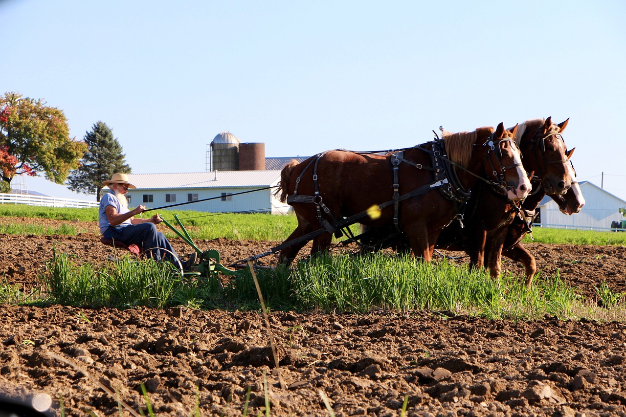 lititz-pa Lititz PA Farmer and Horses